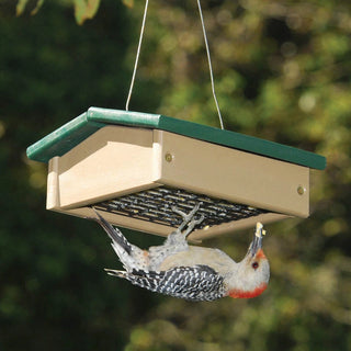 Upside Down Suet Feeder