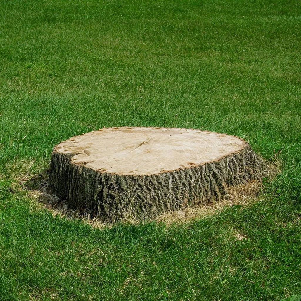 Shop Stump Remover | Garden Tools and Supplies | Breck's