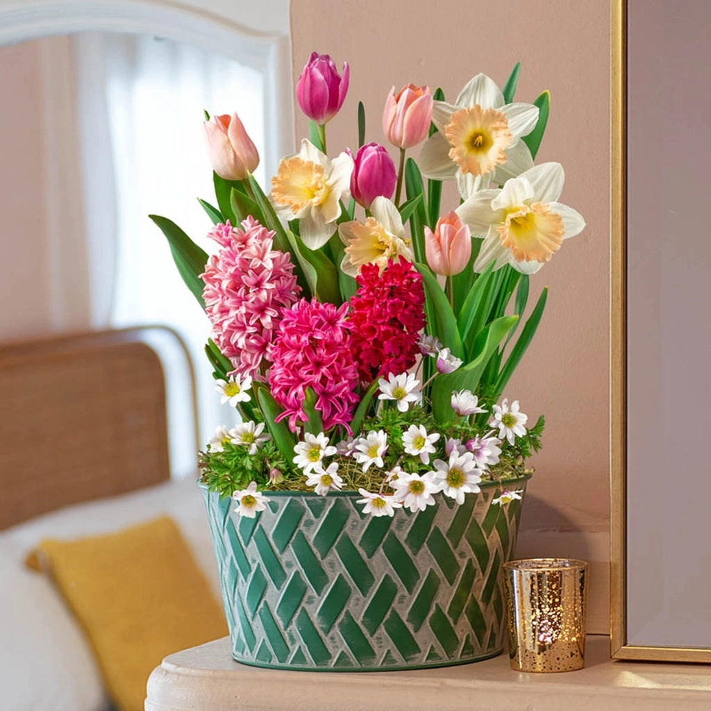 Spring Blush Fragrant Bulb Garden | Shop Online | Breck's