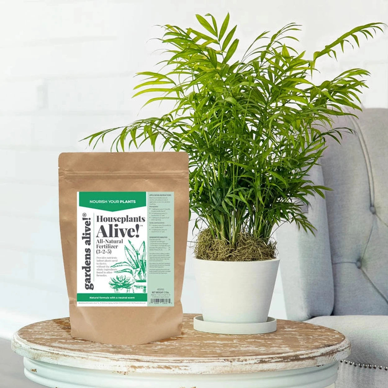 good fertilizer for indoor plants Houseplants Alive! Houseplant Fertilizer