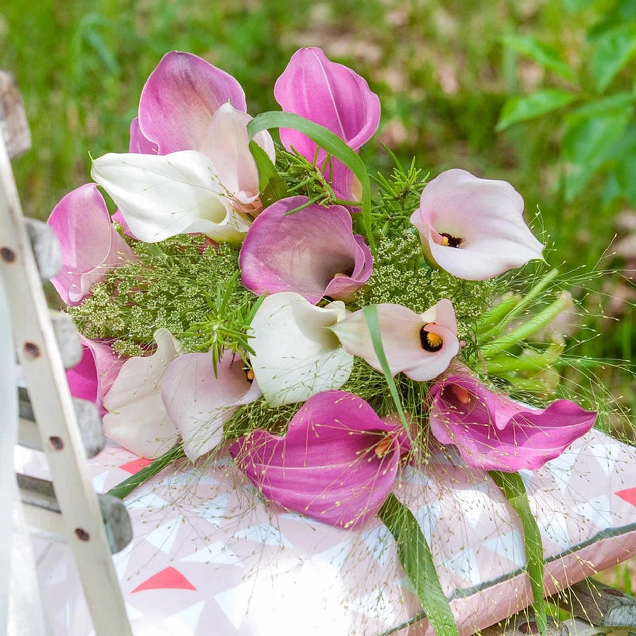 calla lily plant gift Chic n Sassy Calla Lily Mixture