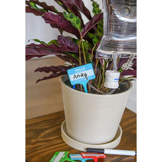 Plant Name Badges