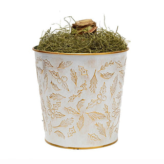 Christmas Gift Amaryllis Single
