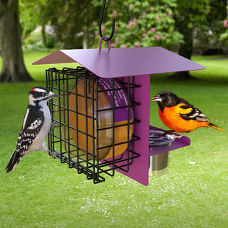 Peanut Butter & Jelly Bird Feeder