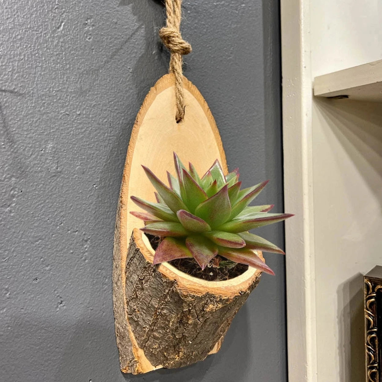 hanging log planter Hollow Log Hanging Planters