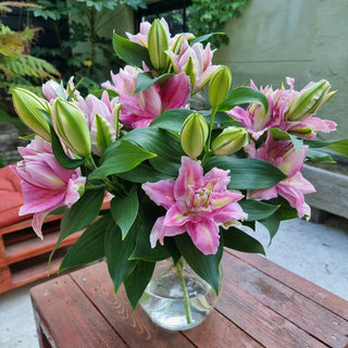 Foxy Star Double Oriental Carpet Border Lily