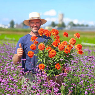 Cheerleader Orange Coneflower