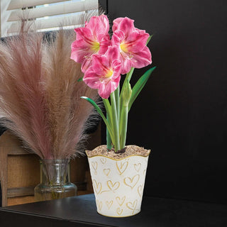 Candy Floss Amaryllis in Gold Hearts Pot