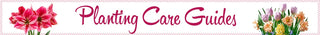 Planting Care Guide