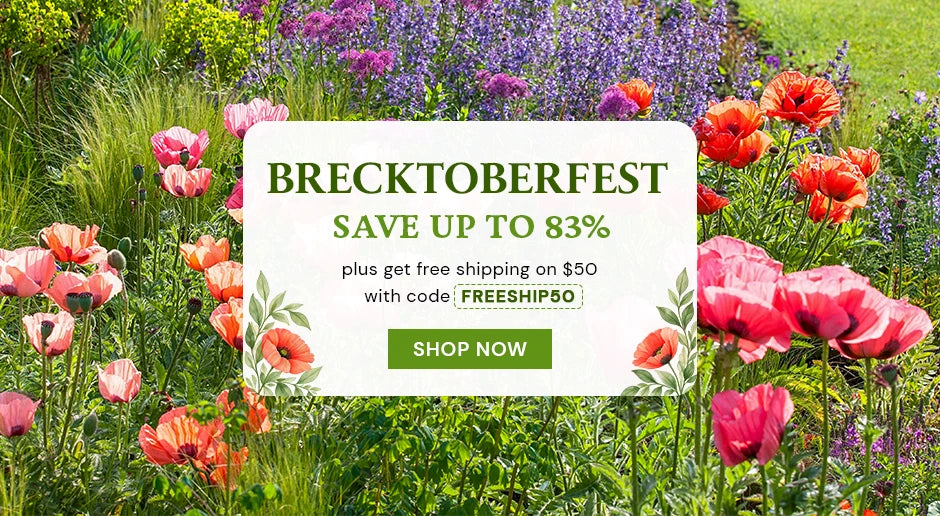 Brecktoberfest