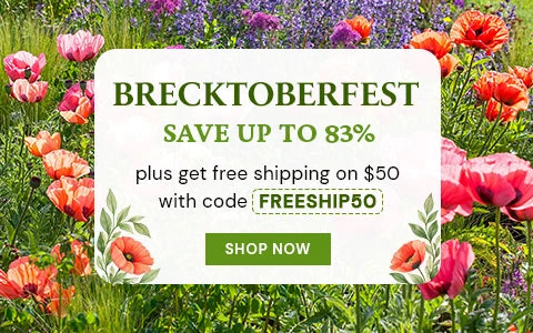 Brecktoberfest