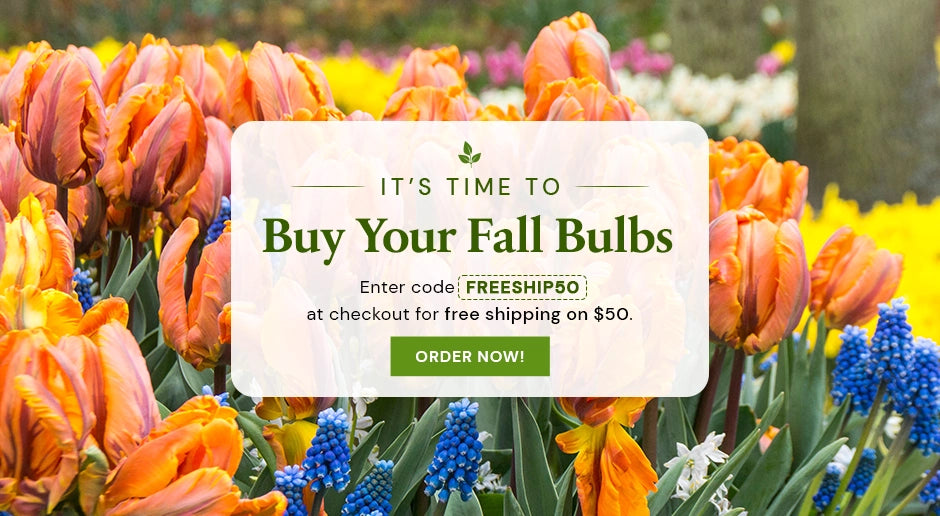 Fallbulbs