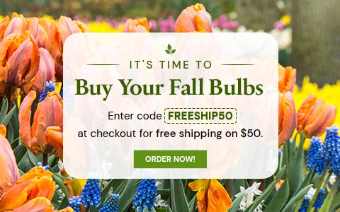 Fallbulbs