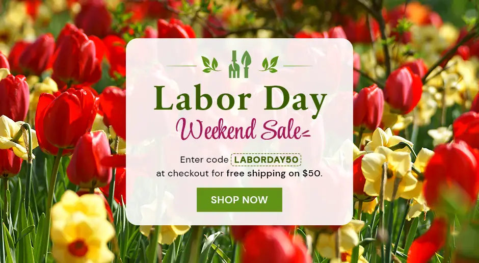 Labor Day