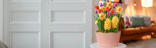SpringBulb