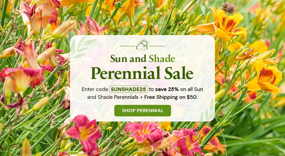 Sun and Shade Perennial Sale