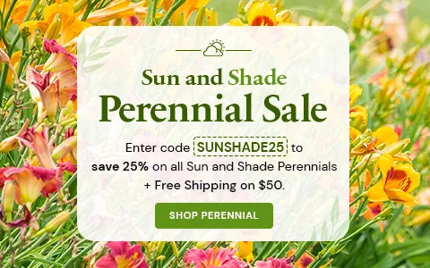 Sun and Shade Perennial Sale