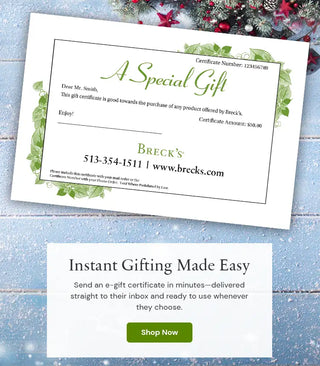 E-Gift Certificate 
