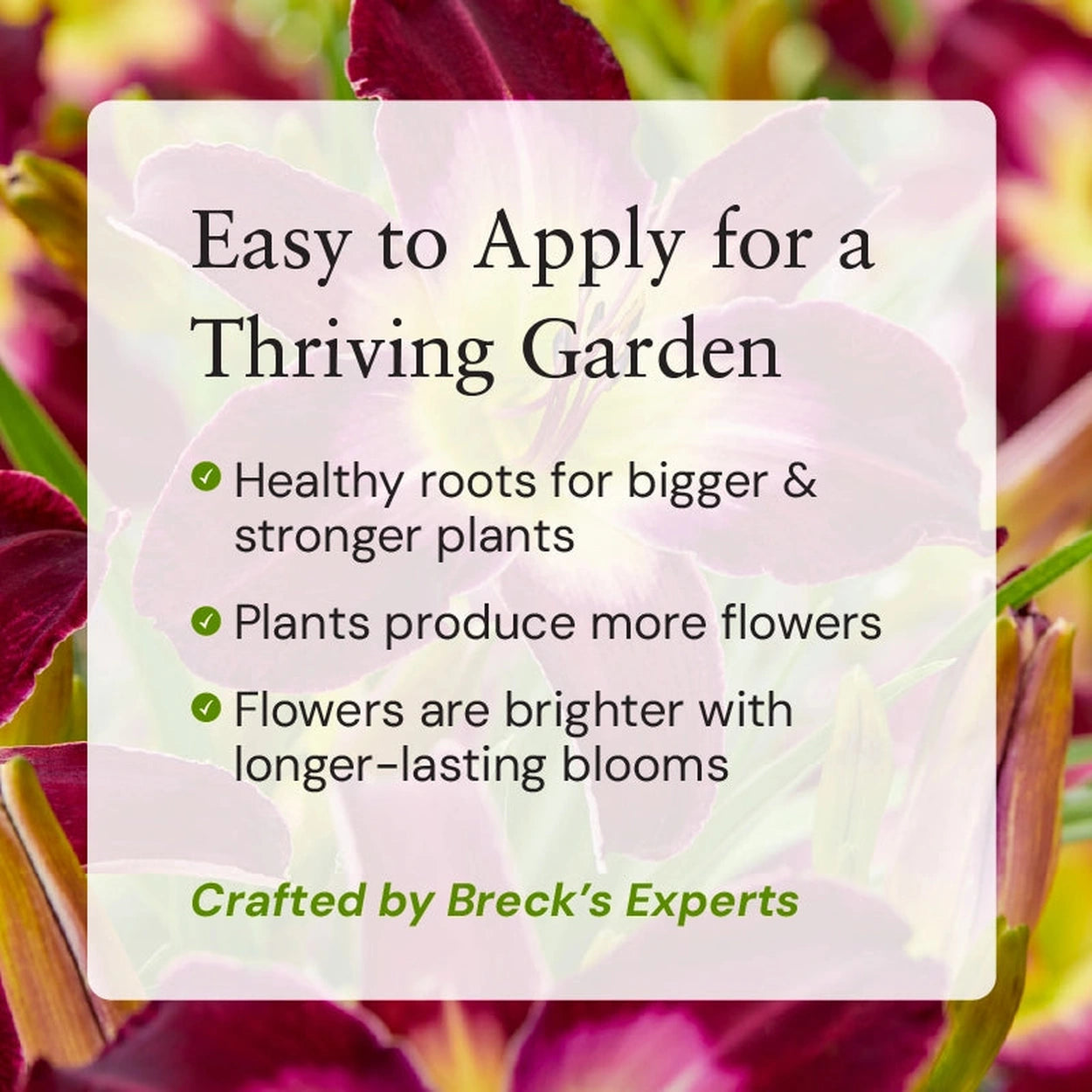 fertilizer for daylily plants Breck's Food For Daylilies - 1 Per Package | Breck's Food For Daylilies
