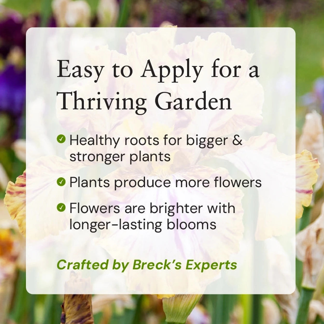 best fertilizer for iris plants Breck's® Iris Lovers All-Natural Iris Food