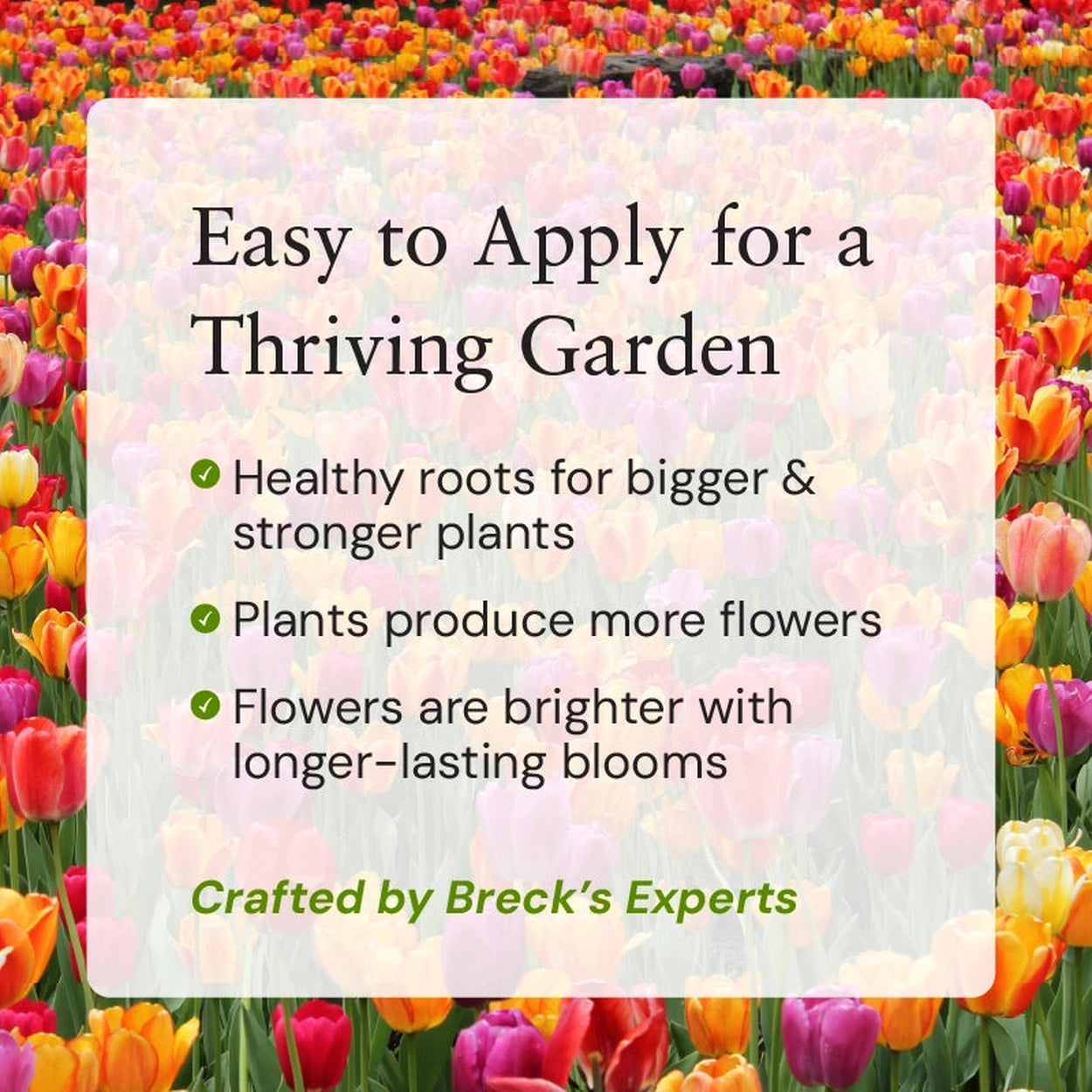 should i use plant food or fertilizer Direct Gardening Once Season Long Plant Food Nutrients for Indoor and Outdoor Plants, 3 lbs