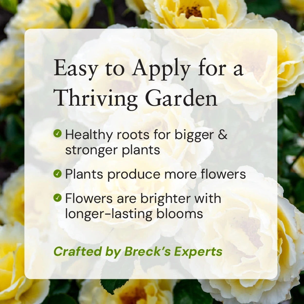 is rose fertilizer good for other plants Roses Alive! Fertilizer