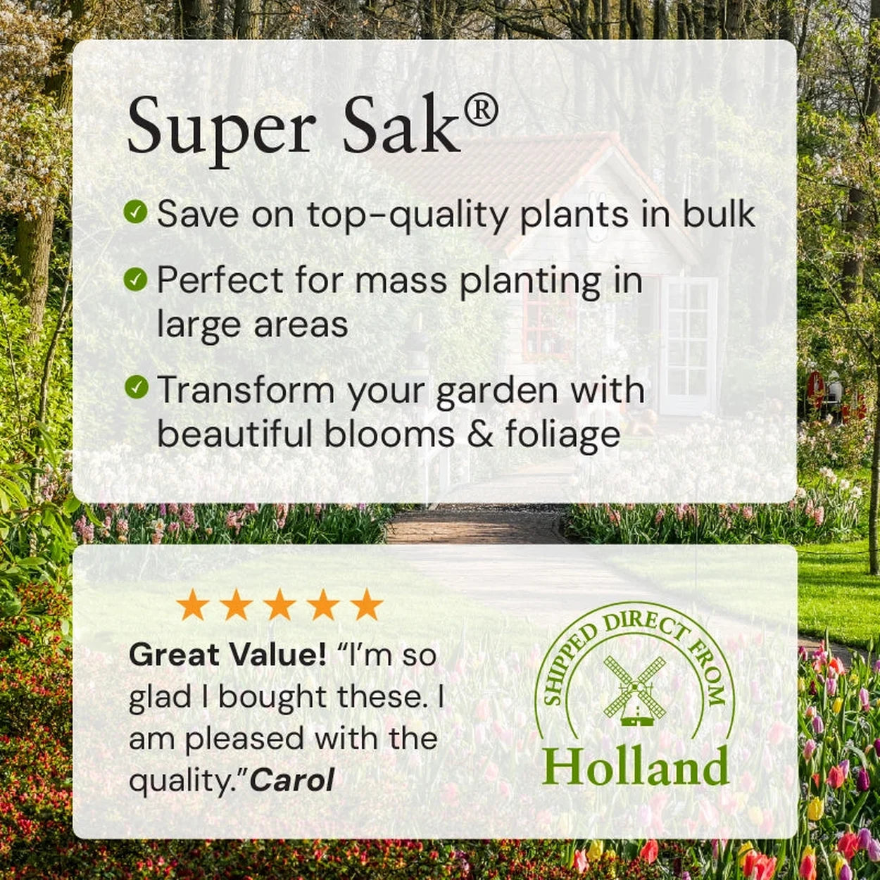 best fertilizer for hosta plants White Feather Hosta Super Sak