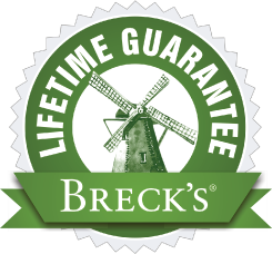 Breckse Buy Black Iris | Iris Bulbs and Rhizomes | Breck's – Brecks