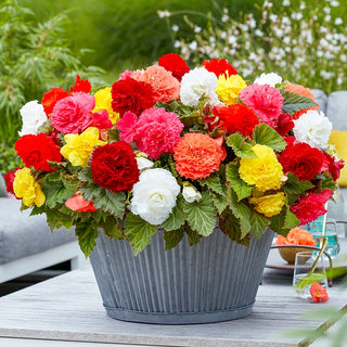 Container Gardening
