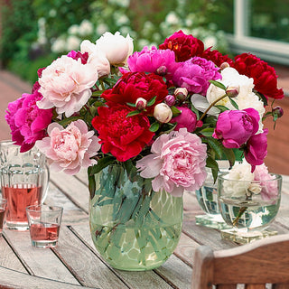 Cut Flowers