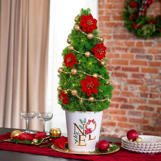 Decorated Trees