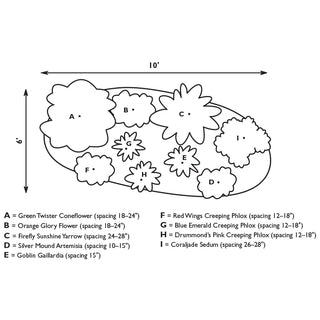 Drought-Resistant_Sun-Loving_Designer_Garden