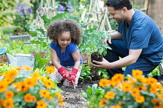 How-To Gardening Guides