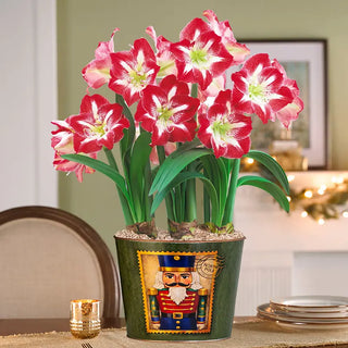 Gifts Under $100
