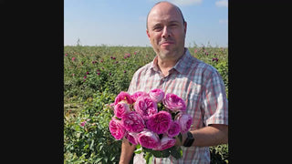 Fashion Forward™ Floribunda Rose 16:9