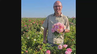 Matrimony Hybrid Tea Rose 16:9