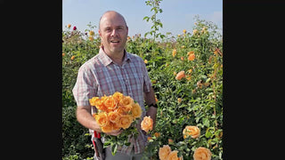 Golden Opportunity™ Climbing Rose 16:9