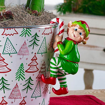 Elf Pot | Brecks Hugger Bulbs Premium
