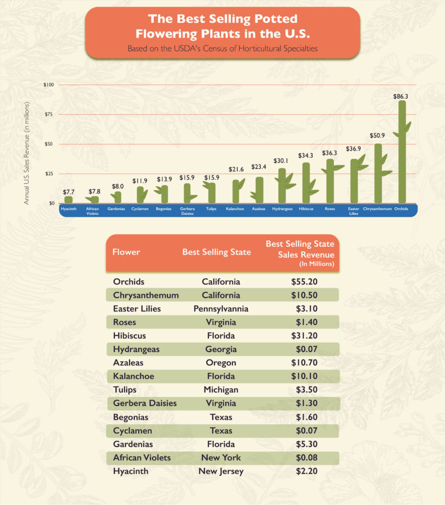 graph identifying the best selling potted flowering plants in America