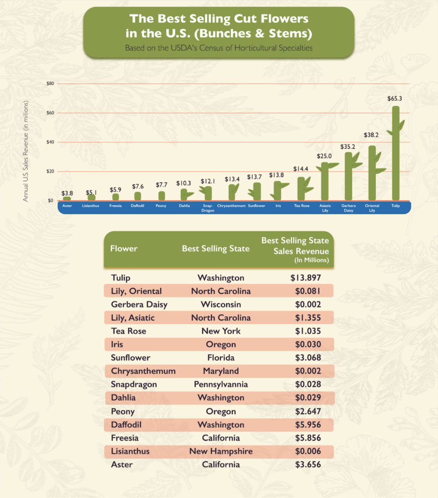 chart showing the best selling cut flowers in America