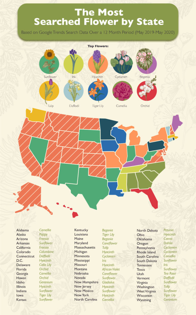 map showing the most searched flowers by state this year