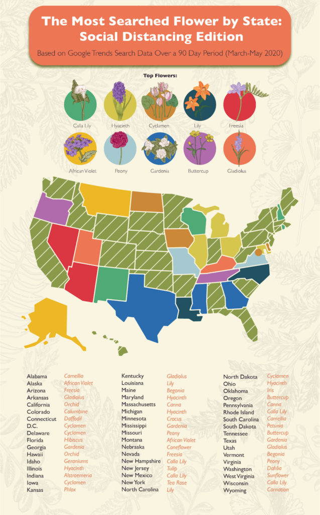 map displaying the most searched flowers by state during quarantine