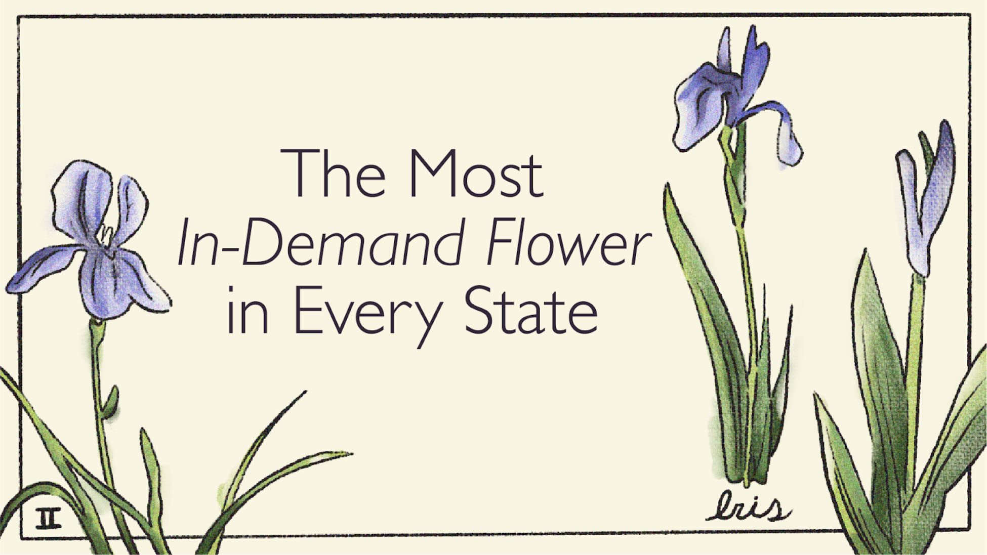 Most In Demand Flower in Every State