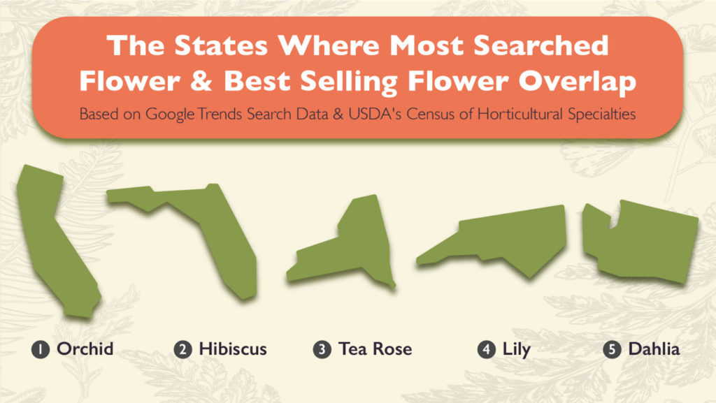 graphic denoting where the most search and best selling flowers overlap