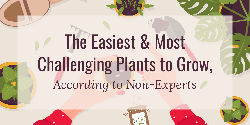 Easiest and hardest plants to grow