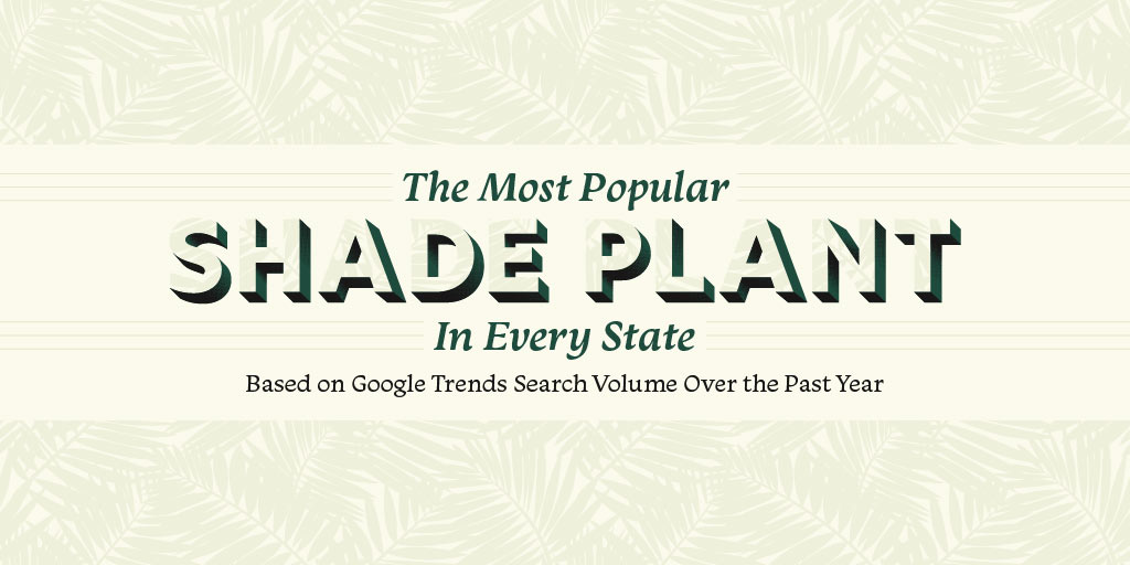 most popular shade plant in every state